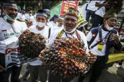 Penggiat sawit apresiasi Presiden Jokowi cabut larangan ekspor minyak goreng