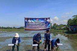 Bupati Bone Bolango dorong petani panen tiga kali setahun