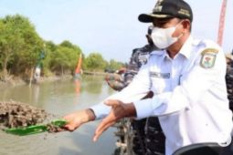 Pemkab Sergai lakukan upaya antisipasi wabah PMK