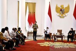 MRP supports establishment of new autonomous regions in Papua