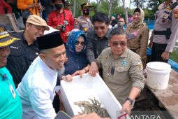 Nanas sampai udang jadi upaya pencegahan Karhutla di Riau