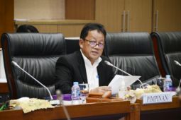 DPR minta pemerintah untuk aktif awasi kegiatan pertambangan