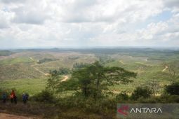 Ratusan hektare lahan milik Pemerintah Kabupaten Penajam ada di IKN