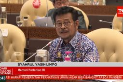 Kementan siapkan prosedur penyediaan hewan kurban mulai H-14