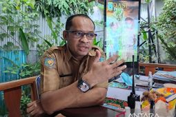 Hutan mangrove Papua Barat salah satu yang terluas di Indonesia