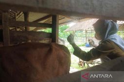 Pemkot Cirebon tolak pengiriman hewan ternak dari luar daerah untuk cegah PMK