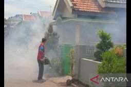 Empat pasien DBD di Probolinggo meninggal selama Januari-April 2022