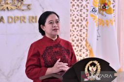 Pengamat: Puan Maharani lebih baik menjadi sosok jiwa negarawan