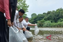 Bupati Tapsel tabur belasan ribu bibit ikan
