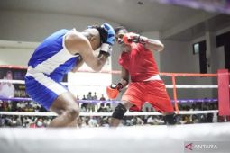 206 petinju amatir berlaga di "Bupati Maluku Tenggara Cup", bangkitkan lagi tinju Maluku