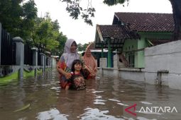 Sebelas desa di Probolinggo diterjang banjir