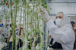 Pemkab Karawang dorong para petani tingkatkan produksi sayuran