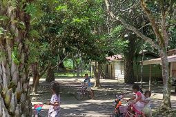 Minimnya pendidikan bagi Suku Anak Dalam di Muaro Jambi