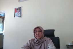 Disperindag sebut harga pangan di Bengkulu stabil