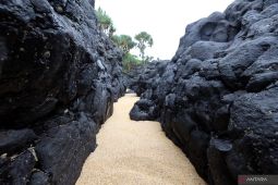 Situs Geologi Pantai Parang Ireng Banyuwangi