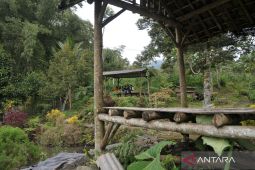 Kafe Nuansa Alam di Jombang