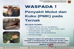 Masyarakat Tanah Bumbu diminta waspadai PMK