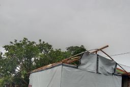 Belasan hunian sementara korban gempa di Pasaman Barat rusak