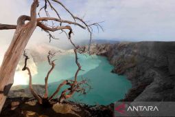 Aktivitas vulkanik meningkat, status Gunung Ijen waspada