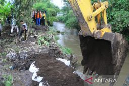 Sedikitnya 125 hektare lahan pertanian di Probolinggo terdampak banjir
