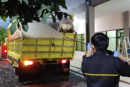 Bebas PMK, seratus ekor sapi asal Sulawesi masuk Kalsel