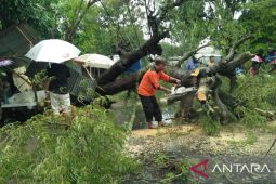 Bencana angin kencang di Pamekasan merusak enam bangunan