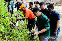 Bupati Gorontalo tanam pohon bambu kuning di bantaran sungai Wuwabu