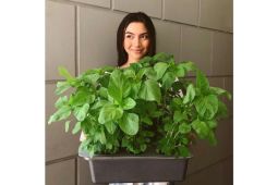 Angela Gilsha gunakan media sosial untuk sebar "awareness" lingkungan