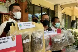 WNA Jepang terjaring operasi narkoba di Bali