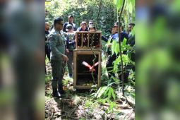 68 satwa dilepas ke Suaka Alam Sungai Nief di Seram Bagian Timur, jaga konservasi