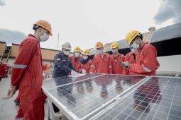 Transisi energi Indonesia, sudahkah sesuai harapan?