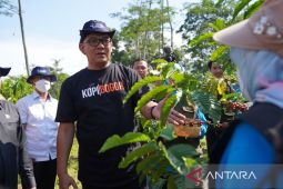 Iwan Setiawan didaulat jadi "Bapak Kopi Bogor", ini alasannya