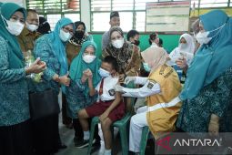 Ketua PKK Kabupaten Asahan pantau pelaksanaan BIAN
