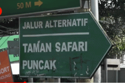 Terjebak satu arah di Puncak? Jalur alternatif bisa jadi opsi