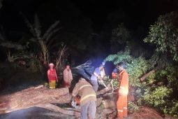 204 bangunan di Aceh Besar rusak akibat cuaca ekstrem