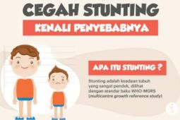 Pemkot  Palembang optimalkan tim TPPS tekan kasus stunting