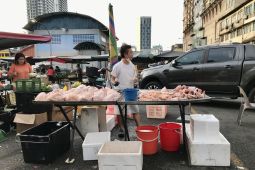 Malaysia mulai berlakukan larangan ekspor ayam mulai Juni 2022