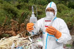 Pencemaran dari mikroplastik jadi ancaman nyata kesehatan global, cemari laut hingga ke ikan