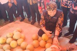 Pemkab Lamongan kenalkan melon jenama hortikultura daerah