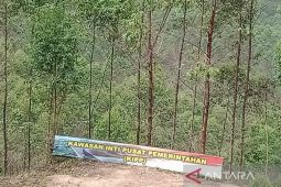 Keberadaan IKN Nusantara buka peluang ekonomi warga Sepaku