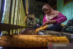 Kayu Manis Produk Unggulan Geopark Meratus