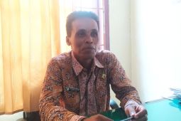 Kasus PMK Batanghari kembali bertambah di pasar ternak Muara Bulian