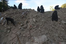 Satwa  di Cagar Alam Pangi Binangga