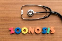 Reaksi G-20 atasi ancaman zoonosis