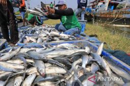 Potensi ikan bandeng di Karawang cukup besar dan bagus