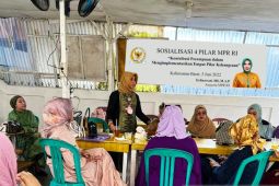 Erlinawati ajak perempuan Kalbar jadi agen empat pilar kebangsaan