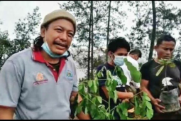 Sulsel dapat Penghargaan Kalpataru ketiga kalinya secara berturut-turut
