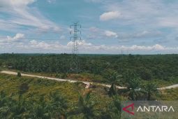 PLN pasok IKN  dengan SPLU dan dua gardu induk bergerak