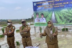 Wawako Maulana hadiri pembukaan Sekolah Lapangan Iklim