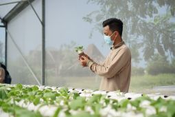 PLN Jatim dorong pemanfaatan listrik pada pertanian modern di Nganjuk